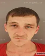 Booking photo of Stanley JUNIOR Wallace Jr., Anderson County, Apr 25, 2014