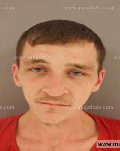 Booking photo of Stanley JUNIOR Wallace Jr., Anderson County, Apr 25, 2014