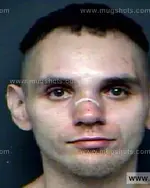 Booking photo of Patrick Neil Matlock, Anderson County, Oct 23, 2012