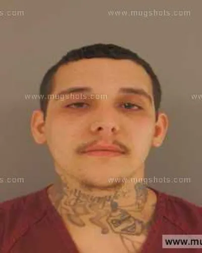 Booking photo of Randy Lee James Armes, Anderson County, Mar 5, 2014