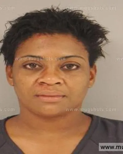 Booking photo of Maurisa Sherri Elliott, Anderson County, Aug 24, 2014