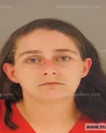 Booking photo of MISTY DAWN NORRIS, Anderson County, Apr 22, 2015