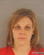 Booking photo of Brandy Novella Moneymaker, Anderson County, Nov 6, 2015