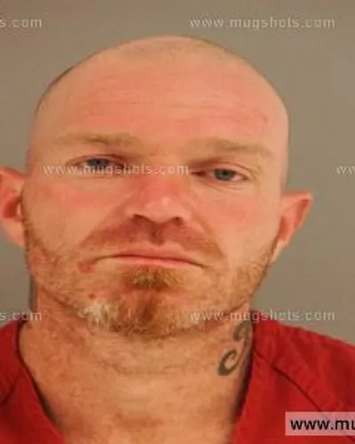 Booking photo of Dennis Leinart, Anderson County, May 11, 2014