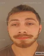 Booking photo of Chanse Reed Davis, Anderson County, May 17, 2015