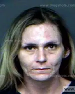 Booking photo of Shannon Lyn Drake, Anderson County, Oct 24, 2012