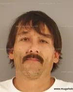 Booking photo of ROGER L JR YOUNG, Anderson County, Nov 8, 2014