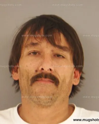 Booking photo of ROGER L JR YOUNG, Anderson County, Nov 8, 2014