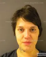 Booking photo of April Denise Tinker, Anderson County, Jan 13, 2014
