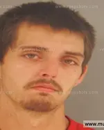 Booking photo of Brandon Dewayne Braswell, Anderson County, Jul 30, 2015