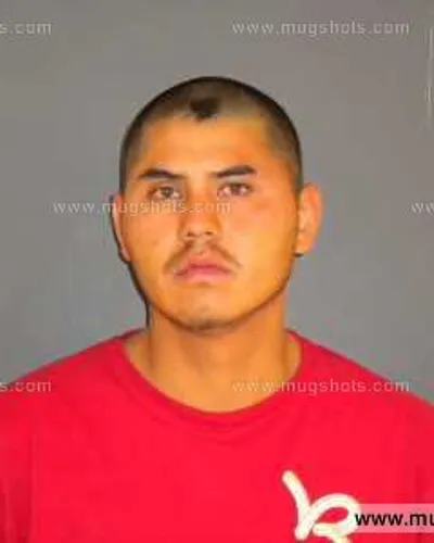 Booking photo of Rolando Rosa, Anderson County, Feb 13, 2014