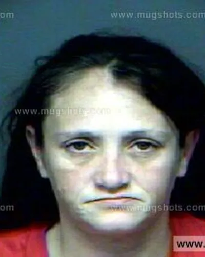 Booking photo of Wendy Seiber, Anderson County, Nov 8, 2012