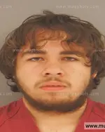 Booking photo of Brandon Kyle Baez, Anderson County, Aug 9, 2015