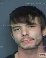 Booking photo of NICKY E BOGGS, Anderson County, Oct 11, 2012