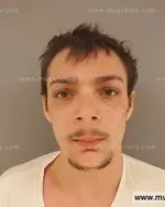 Booking photo of Alvin Steve Daniels, Anderson County, Mar 18, 2015