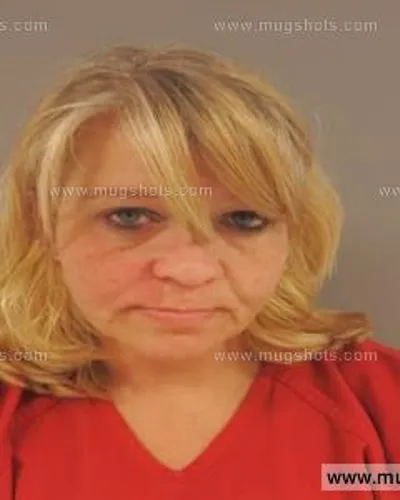 Booking photo of Rachel Patterson, Anderson County, Nov 20, 2015