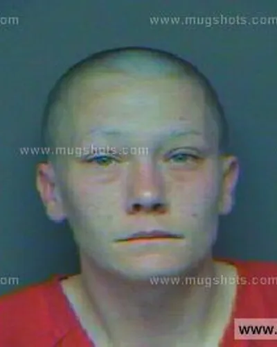 Booking photo of Patricia Ann Bell, Anderson County, Nov 22, 2012