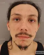 Booking photo of James Bryan Vasser, Anderson County, Mar 31, 2015