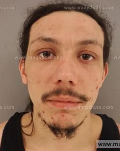 Booking photo of James Bryan Vasser, Anderson County, Mar 31, 2015