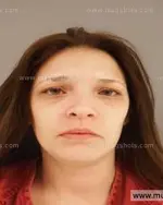 Booking photo of Amber Nicole Paysinger, Anderson County, Mar 23, 2014