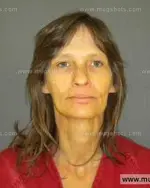 Booking photo of Donna Kay Davidson, Anderson County, Feb 14, 2014