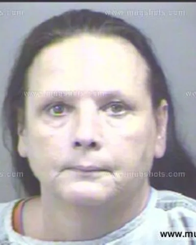 Booking photo of Brenda Moses, Blount County, Jul 20, 2013