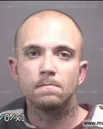 Booking photo of Brandon GENE Davis, Blount County, May 26, 2017