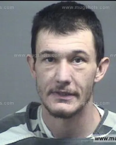 Booking photo of Robert William Payne Jr., Blount County, Jun 2, 2017