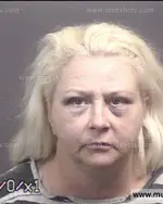 Booking photo of Tina Louise Tucker, Blount County, Jun 2, 2017