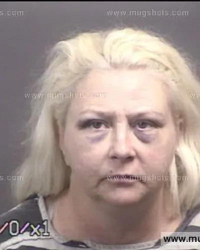 Booking photo of Tina Louise Tucker, Blount County, Jun 2, 2017