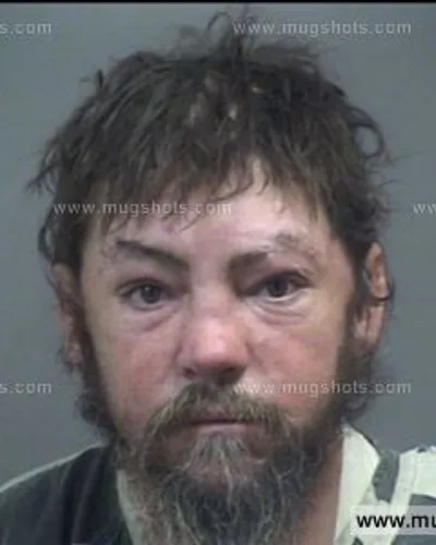 Booking photo of Brandon Dishner, Blount County, Nov 25, 2016