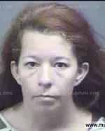 Booking photo of Billie Jo Bryant, Blount County, Aug 10, 2013