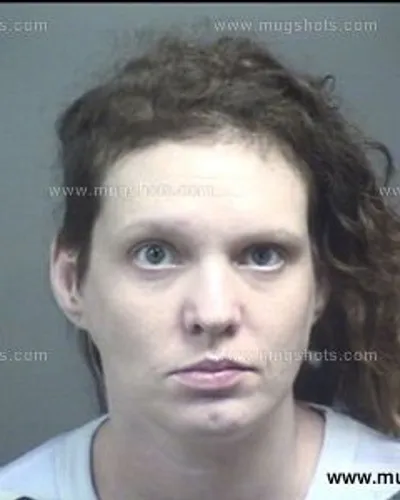 Booking photo of Allison Armstrong, Blount County, Oct 17, 2016