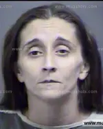 Booking photo of Beverly Leigh Brooks White, Blount County, Sep 12, 2013