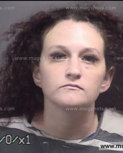 Booking photo of Misty Poplin, Blount County, Jun 2, 2017