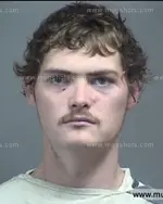 Booking photo of Brian Les Potter, Blount County, Jun 2, 2017