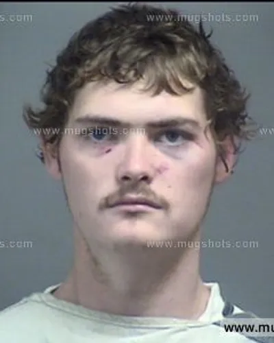 Booking photo of Brian Les Potter, Blount County, Jun 2, 2017