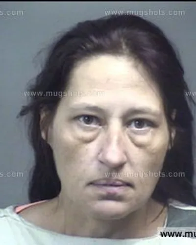 Booking photo of Bethany Boling, Blount County, Nov 20, 2016