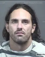 Booking photo of Albert Lee Reynolds, Blount County, Jun 2, 2017