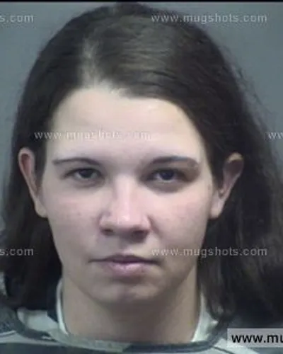 Booking photo of Brittany Ellis, Blount County, Feb 17, 2017