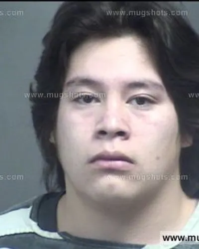 Booking photo of Brandon Almaguer, Blount County, Jan 30, 2017