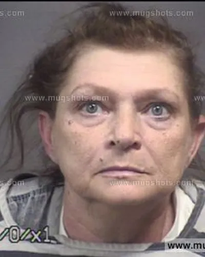 Booking photo of Bonnie Proffitt, Blount County, Jun 2, 2017