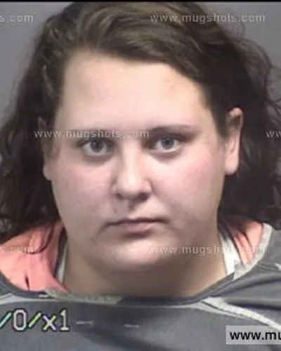 Booking photo of AMBER MICHELLE ROGERS, Blount County, May 5, 2017