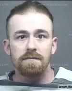 Booking photo of Aaron Michael Colyer, Blount County, Feb 17, 2017