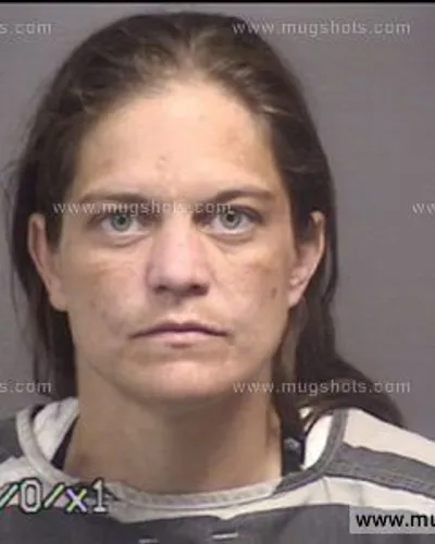 Booking photo of Heather Teeple, Blount County, Jun 2, 2017