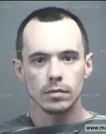 Booking photo of BRANDON SCOTT SELF, Blount County, May 5, 2017