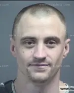 Booking photo of BRADLEY LUCAS BROOKS, Blount County, Oct 17, 2016