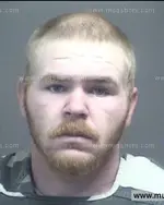 Booking photo of Anthony Dewayne Coffman, Blount County, Jan 21, 2017