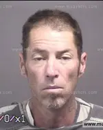 Booking photo of GREG EDWARD TIPTON, Blount County, Jun 2, 2017