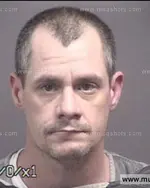 Booking photo of Michael Dee Palmer, Blount County, Jun 2, 2017